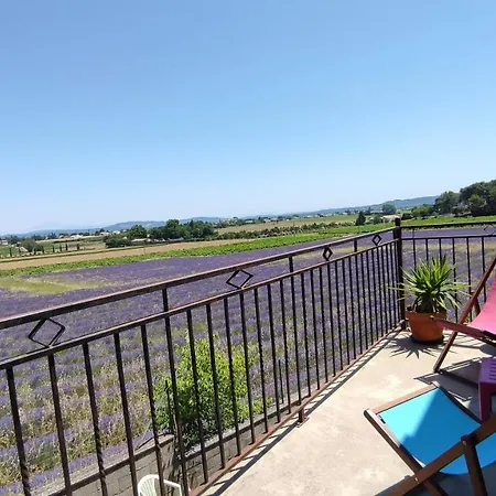 Grande Maison Avec Grande Piscine Holiday home